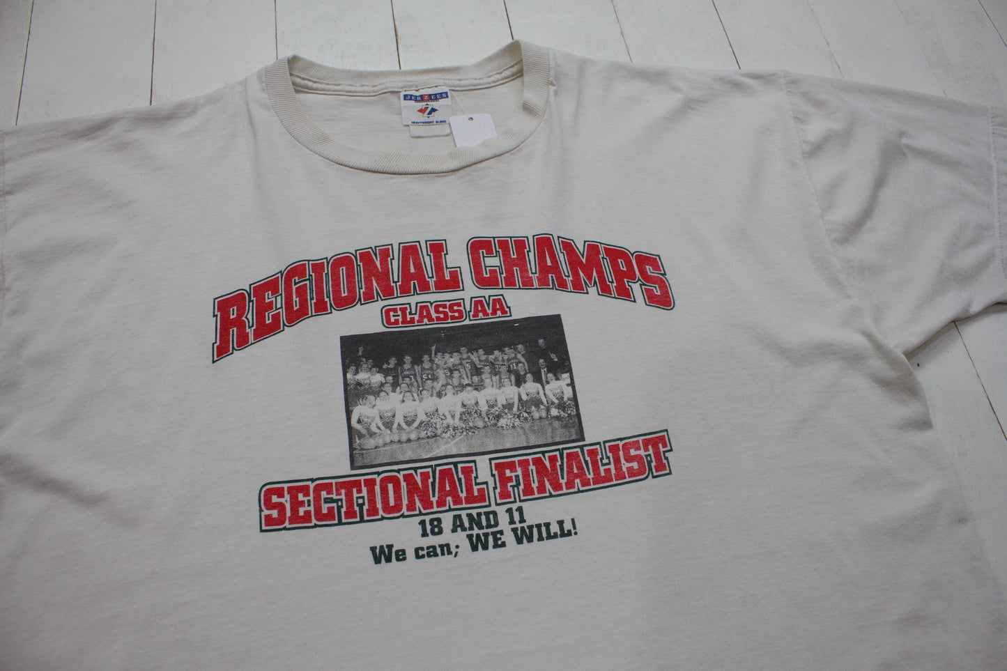 1990s/2000s Y2K Class AA Sectional Finalists Regional Champs Hearts High School Basketball T-Shirt Size XXL