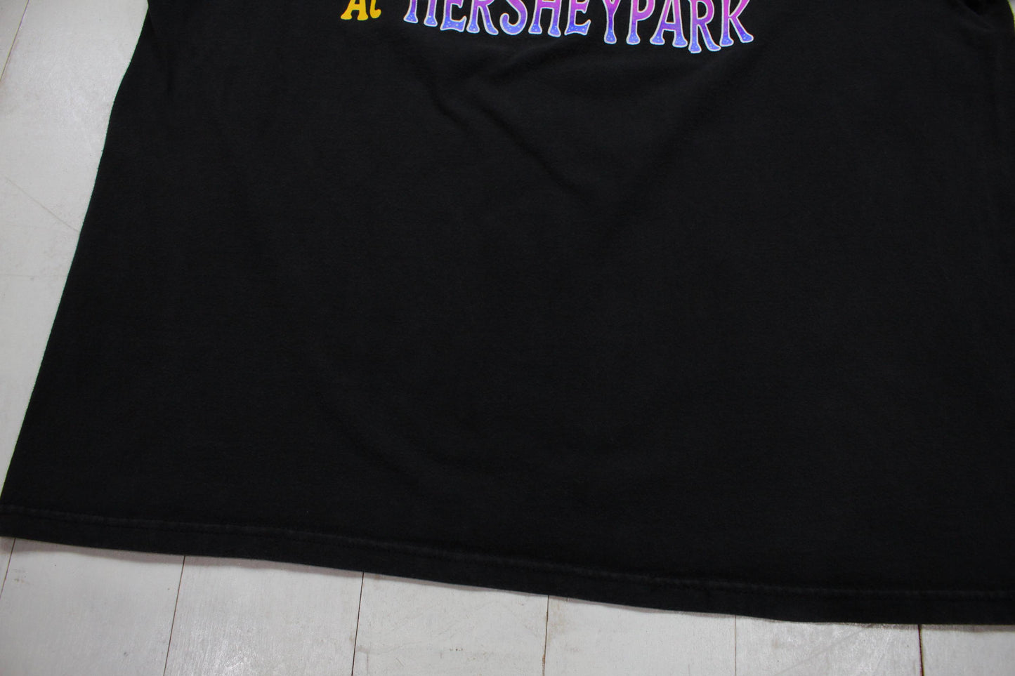 1990s Hanes Hershey Park Great Bear Roller Coaster Theme Park T-Shirt Size XL/XXL