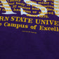1990s Alcorn State University T-Shirt Made in USA Size M