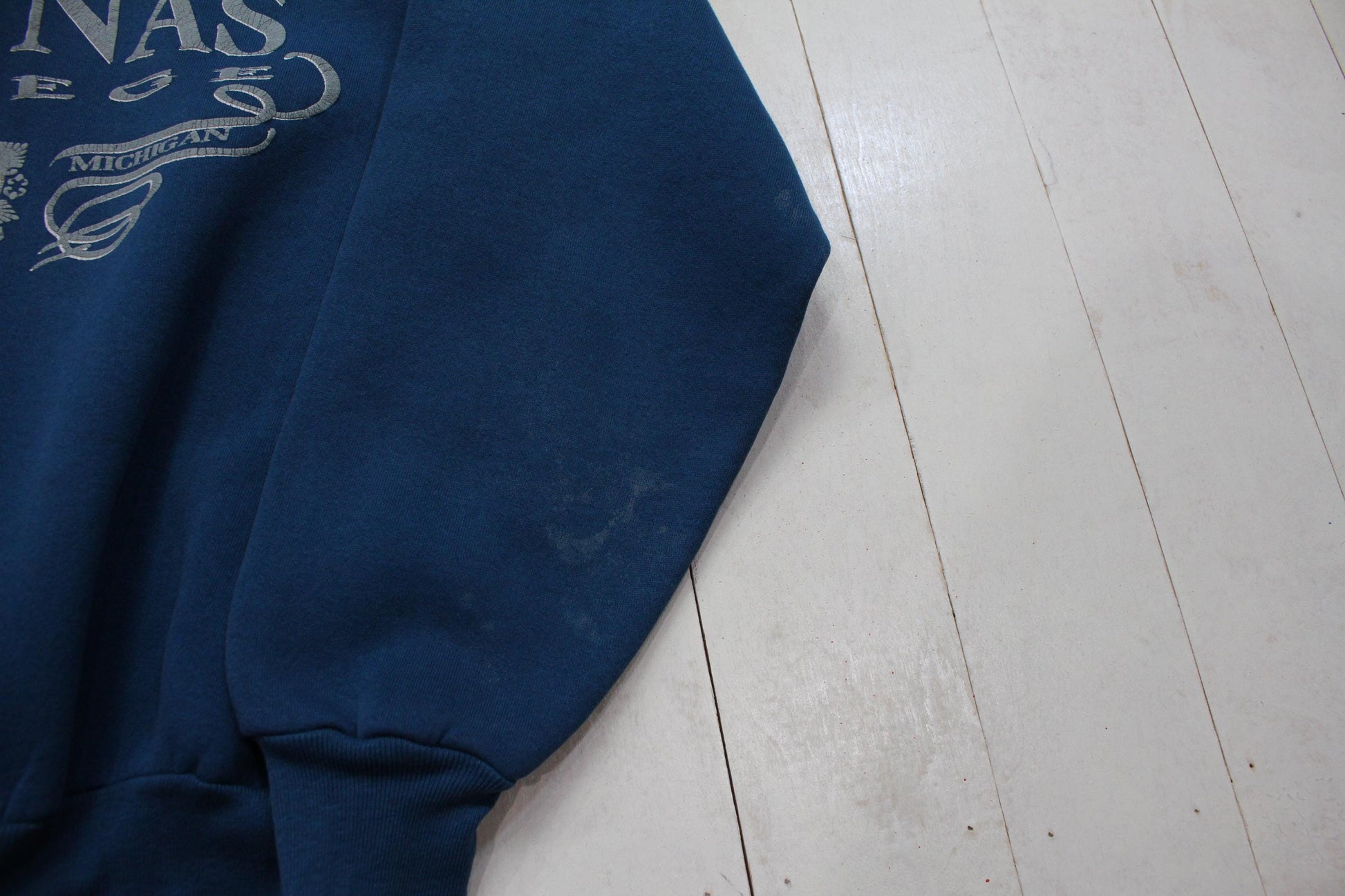 1990s Jansport Aquinas College Teal Grand Rapids Michigan Sweatshirt Made in USA Size M