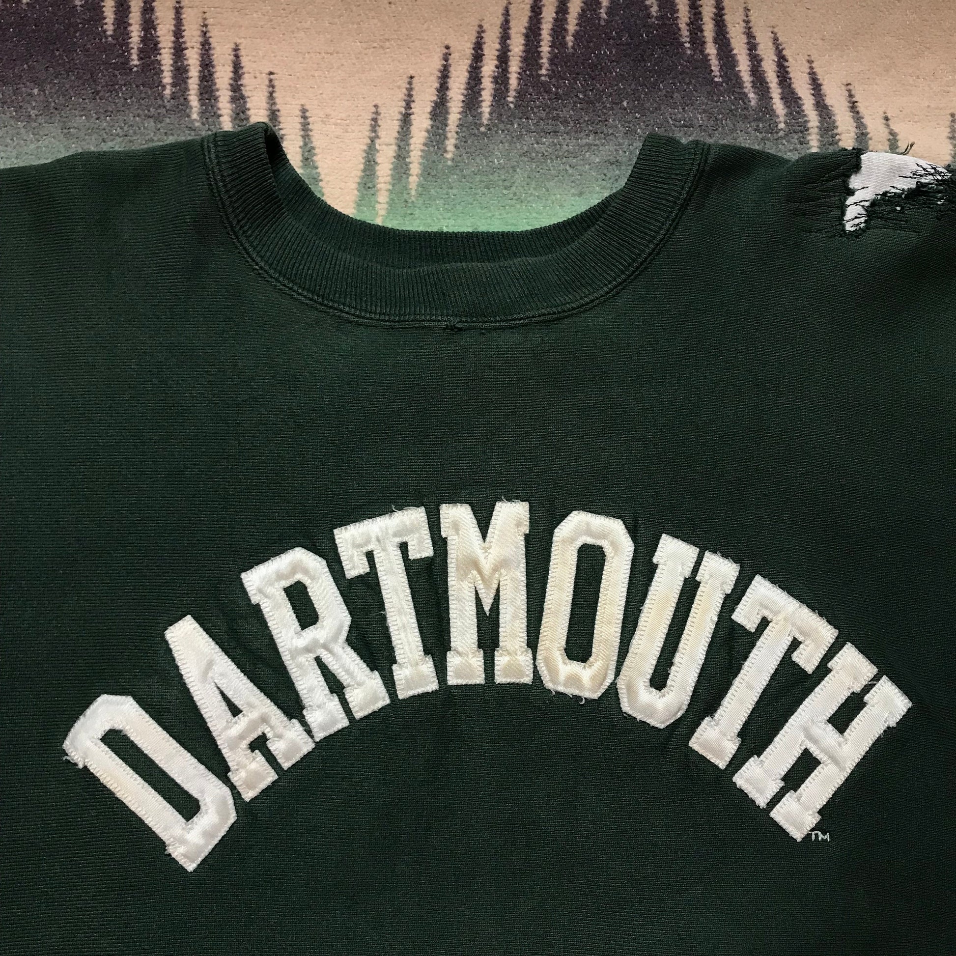1990s Repaired Dartmouth University Champion Reverse Weave Sweatshirt Size L/XL