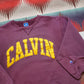 1980s Champion Calvin College Sweatshirt Made in USA Size M/L