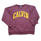 1980s Champion Calvin College Sweatshirt Made in USA Size M/L