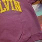 1980s Champion Calvin College Sweatshirt Made in USA Size M/L